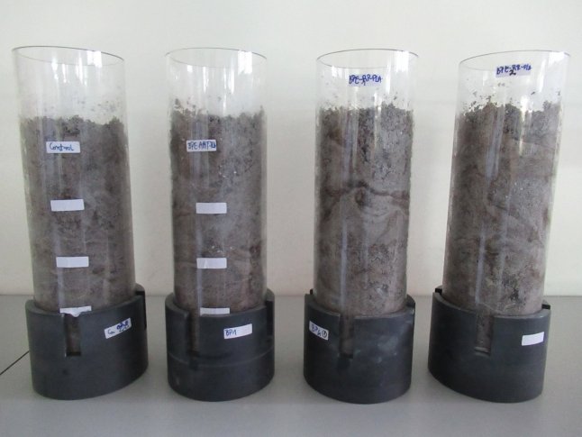 bioplastics_3.jpg